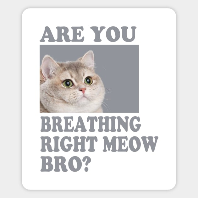 Are you Breathing Right Meow Bro? Magnet by Electrovista